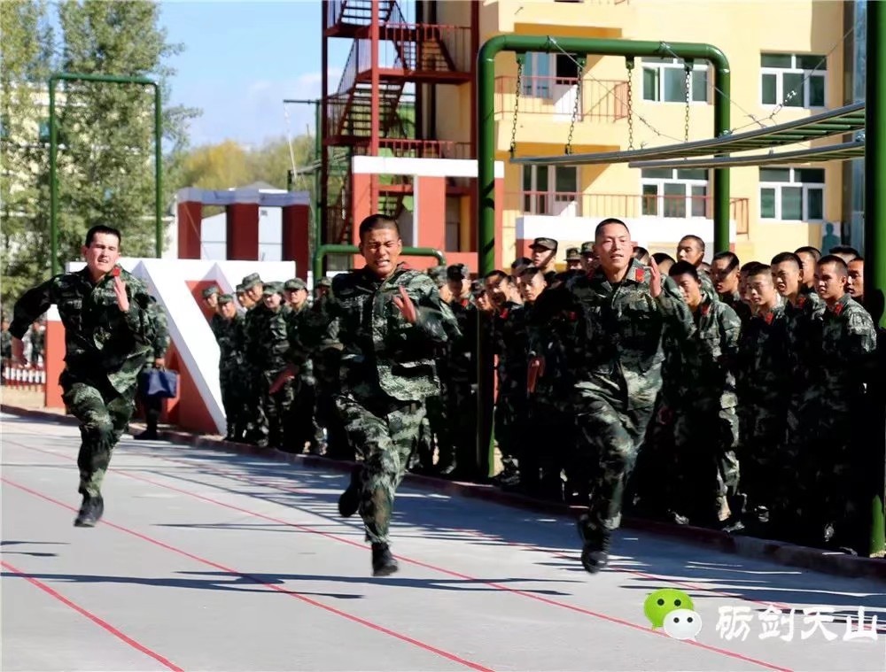 点击查看大图